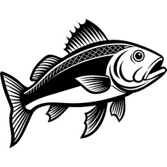 black and white fish