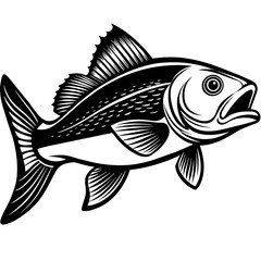 illustration of a fish