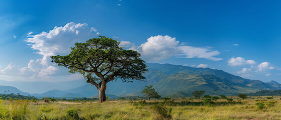 savanna with a big tree in the middle - obrazy, fototapety, plakaty