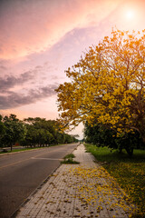 beautiful sunrise full of color to enjoy and take photographs