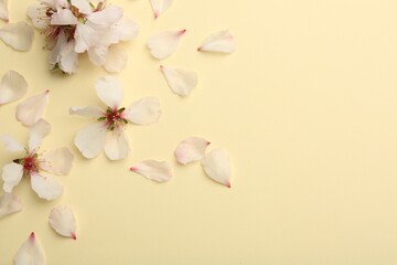 Spring blossoms and petals on beige background, top view. Space for text