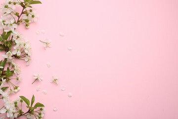 Obraz na płótnie Canvas Spring tree branch with beautiful blossoms and petals on pink background, flat lay. Space for text