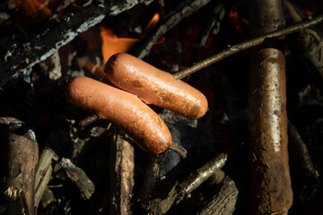 Two sausages on fire. Bonfire in the forest. Picnic in nature.