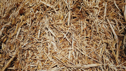 Dry straw texture background with a dark orange-brown gradient. For backdrops, banners,...