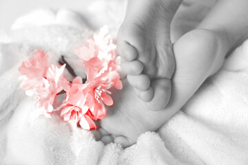 Barefoot, monochrome coloring,  pink flowers, happy time for relax. Lazy holiday  and spa concept