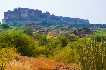 View of Mehrangarh fort from Rao Jodha desert rock park, Jodhpur, India. A lone cactus in the foreground and Mehrangarh fort in the background, with rocky landscape of the desert park.