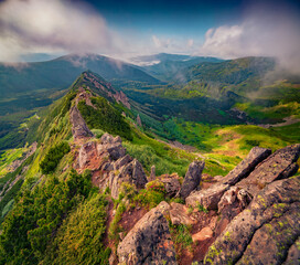 Foggy summer view of Chornogora ridge, Ukraine, Europe. Stunning morning scene of Shpytsi peak in...