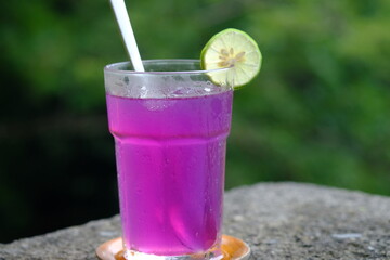 Kombucha Bunga Telang. is a fermented drink made from butterfly pea flowers, water, and sugar. natural probiotics. natural dyes. served in clear glass and ice cube. natural fermented drink