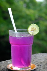 Kombucha Bunga Telang. is a fermented drink made from butterfly pea flowers, water, and sugar. natural probiotics. natural dyes. served in clear glass and ice cube. natural fermented drink