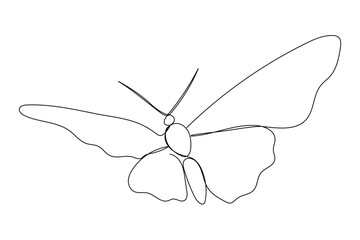 One line butterfly vector sketch. Single line hand drawn illustration. Summer symbol in doodle style