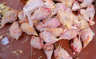 Cut Chicken Meat, A Collection Of Processed Food Chicken Heads
