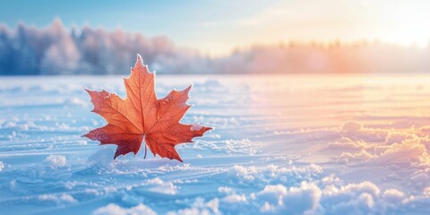 A single red maple leaf covered in frost, contrasting with the snowy background in the morning light. - Powered by Adobe
