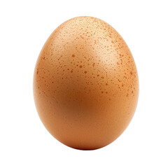 A chicken egg set against a transparent background