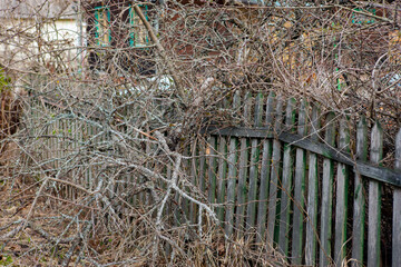 old collapsed fence