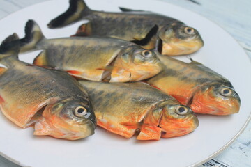 5 raw pomfret in a white plate on the table

