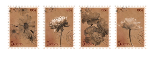 Set of Floral vintage Postage Stamp. Old Brown post stamp with flowers. Aesthetic cutout Scrapbooking elements for wedding invitations, notebooks, journals, greeting cards, wrapping paper