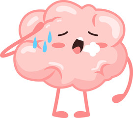 brain
