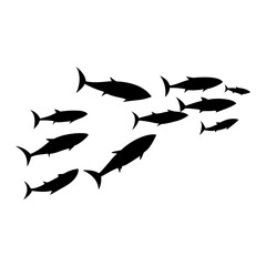 School tuna fish swims