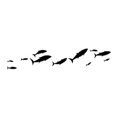 School tuna fish swims
