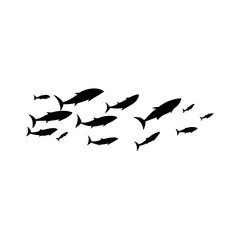 School tuna fish swims