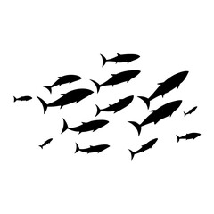 School tuna fish swims