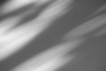 Wall interior background, studio and backdrops show products.with shadow from window color white and grey. background for text insertion and presentation product	