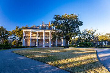 Evening at the Oak Alley Plantation