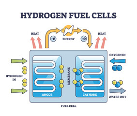 Hydrogen fuel cells work principle with educational structure outline diagram, transparent background. Labeled mechanical scheme with clean and sustainable power production illustration.