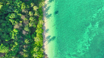 Aerial view of a stunning tropical island with lush greenery, sandy beaches, and swaying coconut palms. Perfect weather. Ecotourism and biodiversity concept. Ko Chang, Trat Province, Thailand. 
