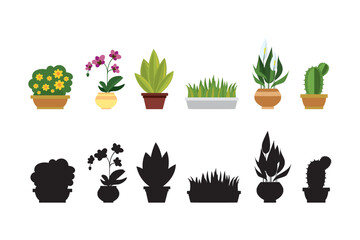 Home flowers and plants in pots. set of cartoon nature icons or elements. Various flowers with bloom isolated on white background.