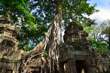 Angkor Wat Temple cambodia ancient world heritage unsesco