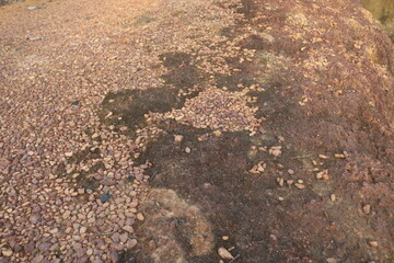 stone on the ground
