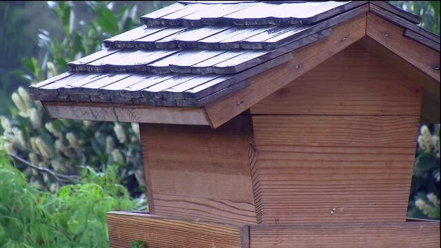 Starker Regen prasselt auf das Vogelh&auml;uschen