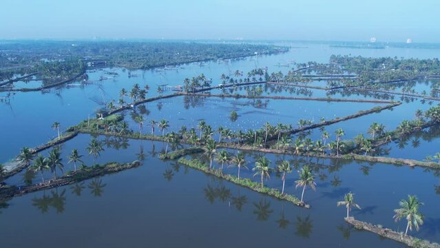 Kadamakudy village  is the most beautiful place in Ernakulam district kerala 