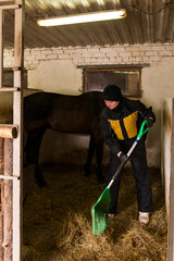Person mucking out stable with horse