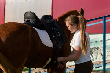 Woman fastening saddle straps on horse