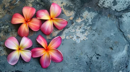 Stof per meter Plumeria blossoms in pink and yellow on the wall s edge © 2rogan