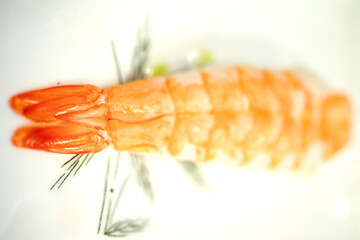 View of the shrimp sushi on the plate
