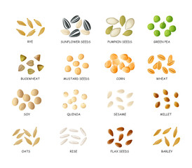 Cartoon seeds. Vector hand drawn cereal products.
