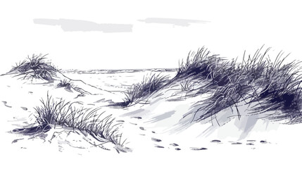 Sandy dunes on the sea coast Netherlands Hand drawn