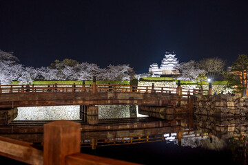 Himeji Castle lit up at night with cherry blossoms full bloom in the spring. Hyogo, Japan.