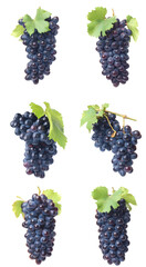 Set of grapes isolated