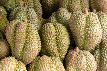 Durian fruit as background. Close-up - obrazy, fototapety, plakaty