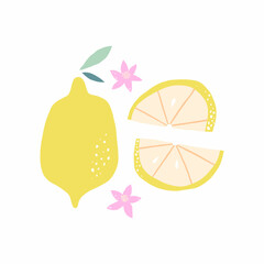 Hand drawn set of lemon fruit isolated on white background. - 794850325