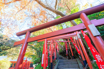 日本国の重要文化財、丸山稲荷社の鳥居。
Torii gate of Maruyama Inari Shrine, an...