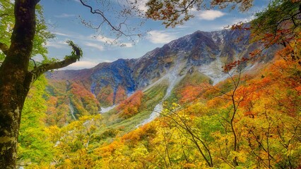 鳥取・大山の秋