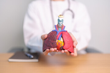 Doctor hold heart Cardiovascular and Respiratory anatomy for Disease. Lung Cancer, Asthma, Chronic...