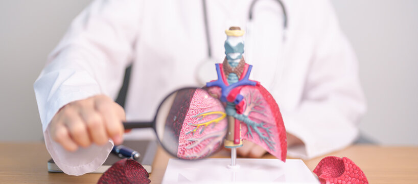 Doctor with Smoker Lung anatomy with magnifying glass. Lung Cancer, Asthma, Chronic Obstructive Pulmonary or COPD, Bronchitis, Emphysema, Cystic Fibrosis, Bronchiectasis, Pneumonia and world Lung day