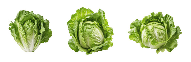 fresh green cabbages isolated on transparent background