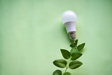 Light bulb with some leafs plugged in. Concept of green energy, eco energy.